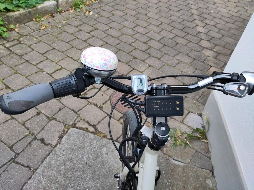 Lastenrad Elektro Ezee Expedir Radkutsche Fahrrad in Lichtenstein