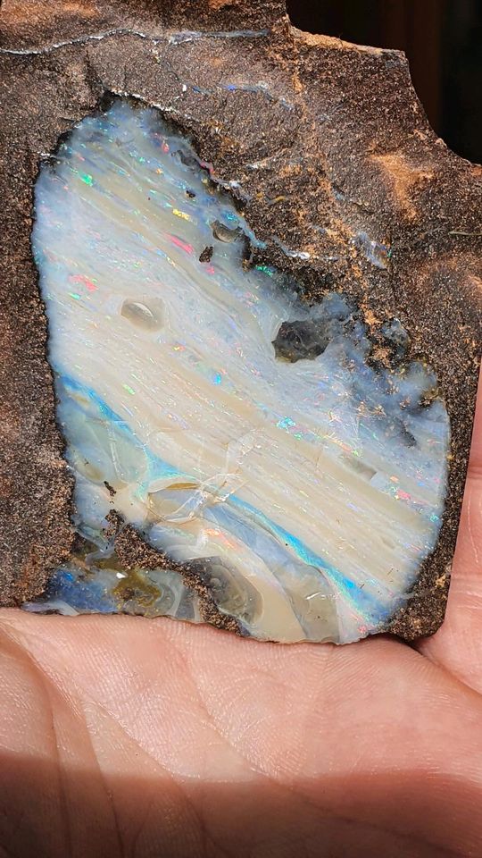 Rohstein / rough roh boulder Opal aus Australien in Nürnberg (Mittelfr)