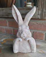 Beton Hase PTMD Cream Cement Hasenbüste shabby Vintage  Weiß Rose Nordrhein-Westfalen - Schwalmtal Vorschau