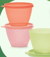 Tupperware Kühlschrank Trio (3x380ml) Nordrhein-Westfalen - Königswinter Vorschau