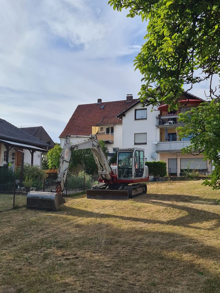 Rodung - Baufeldräumung - Landschaftpflege - Brachland nutzen in Warburg