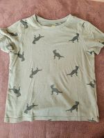 Dunkelgrünes T-Shirt  Dinos - H&M - Größe 110/116 Bayern - Neunkirchen a. Brand Vorschau