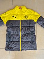 Puma Winterjacke BVB in Gr. S Hessen - Obertshausen Vorschau