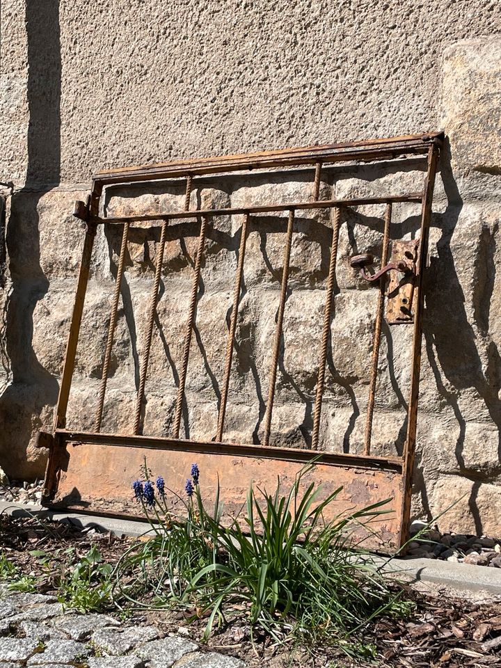 Tür / Zaun / Gartentor in Dresden