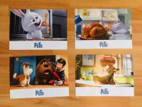 Kino Aushang Plakate: Pets Poster Kinderfilm Tier Poster Innenstadt - Köln Altstadt Vorschau