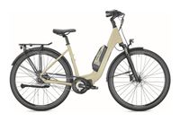 Falter E-BIKE E8.8 RT Mecklenburg-Vorpommern - Anklam Vorschau