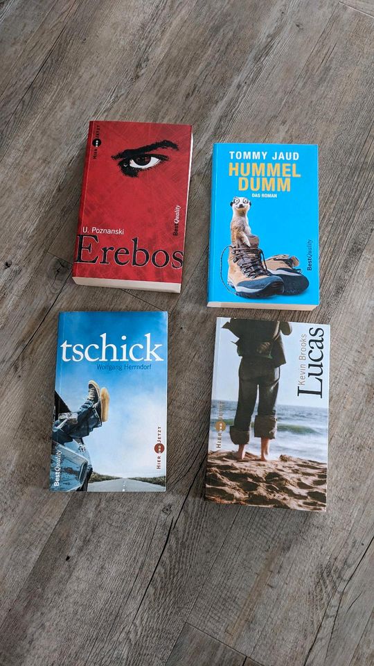 Erebos, Tschick, Hummel Dumm, Lukas4 Bücher in Kempten