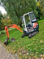 Vermietung Minibagger Kubota KX 41-3V  mieten Sachsen-Anhalt - Hansestadt Seehausen Vorschau