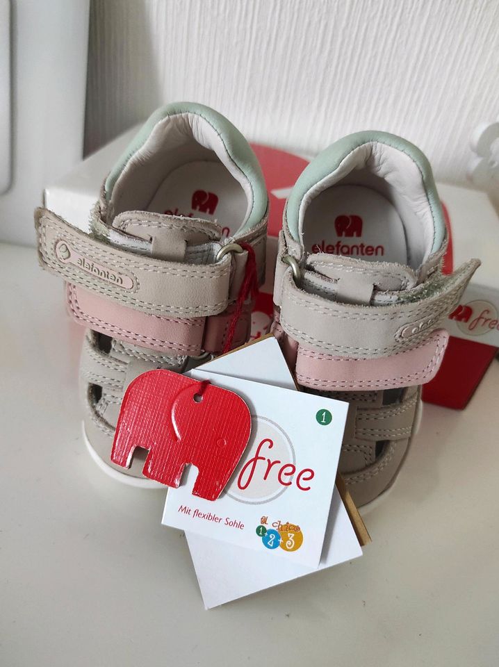 Baby Schuhe Elefanten 18 Gr. Mädchen in Paderborn
