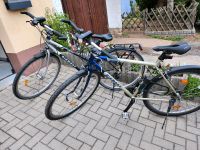 2 Fahrräder Herrenrad / Damenrad Diamant Bike Fahrrad Cityrad Thüringen - Jena Vorschau