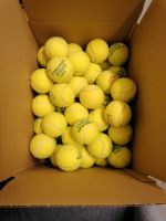 45 Tennisbälle gebraucht Hessen - Witzenhausen Vorschau