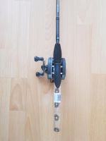 Daiwa Baitcast Seeepfire 601 MHRS + Shakespeare Model 9100 Nordrhein-Westfalen - Solingen Vorschau