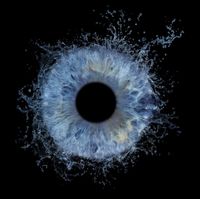 Iris Fotografie/Saar - Dein Auge als Kunstwerk Saarland - Überherrn Vorschau