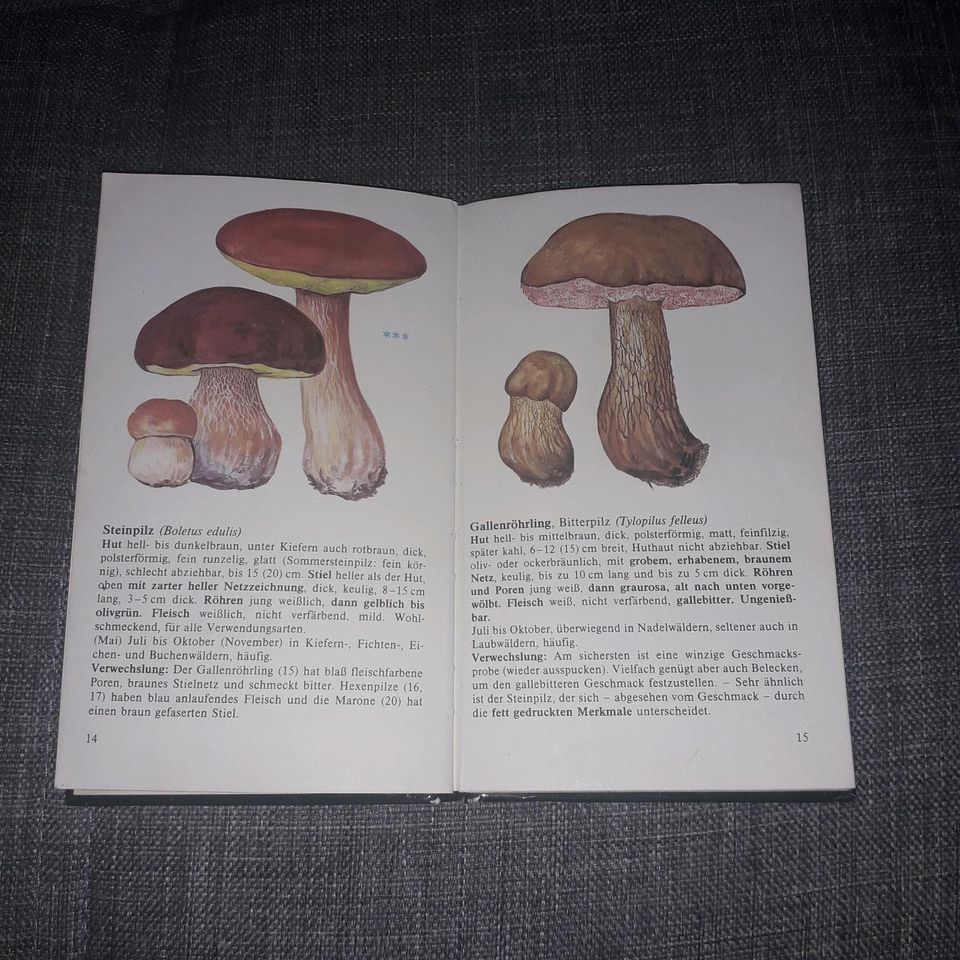Pilze Buch Essbar oder Giftig in Güstrow