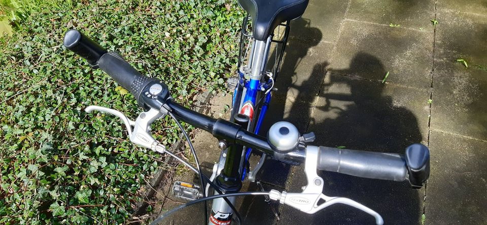 Fahrrad Pegasus 24 Zoll mit Rücktritt, 3-Gang-Schaltung in Castrop-Rauxel
