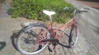 Fahrrad Damenfahrrad 28 Zoll rot Münster (Westfalen) - Mecklenbeck Vorschau