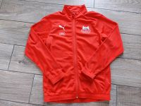 TRAININGSJACKE FC INGOLSTADT *PUMA* Brandenburg - Am Mellensee Vorschau