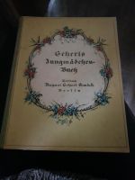 Sehrrr altes Buch 1921 Mit Bleistift Zeichnungen Nordrhein-Westfalen - Barntrup Vorschau