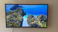 Fernsehen Samsung M6399 123 cm (49 Zoll) Nordrhein-Westfalen - Leverkusen Vorschau