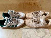 2x Samba XLG Thüringen - Erfurt Vorschau