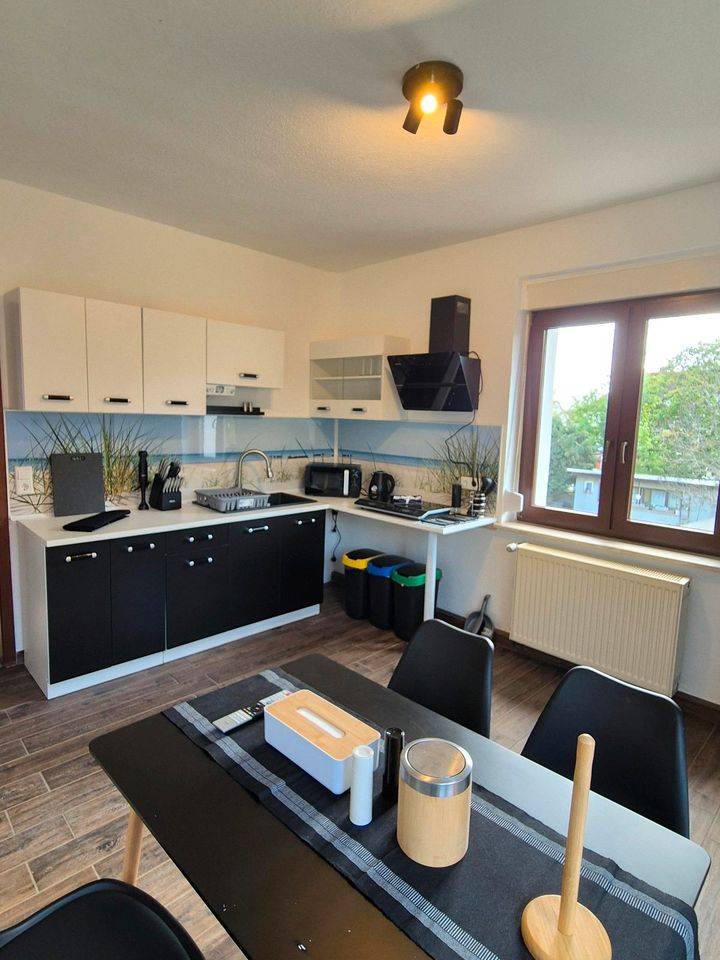 2 Möblierte Wohnungen für 6 Personen zur Miete 95 m² je Wohnung in Merseburg