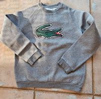 Sweatshirt Langarm grau Rundhalsausschnitt Gr. 152 Lacoste --neu Sachsen - Riesa Vorschau