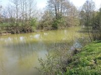 Angelteich Fischteich See Gewässer mit Hütte zu verpachten Nordrhein-Westfalen - Ascheberg Vorschau