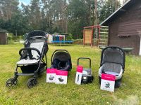 Hauck Kinderwagen 3 in 1 Brandenburg - Altlandsberg Vorschau