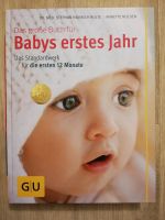 Babys erstes Jahr - Buch. Neu und ungelesen Sachsen - Hartmannsdorf Vorschau