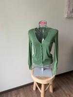 Colors of Benetton Strickjacke Cardigan grün Gr. XS 34 Bayern - Veitsbronn Vorschau