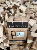 Brennholzbox Buchenholz Grillholz Saarland - Schmelz Vorschau