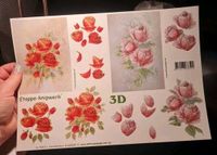 3D Bogen, Etappenbogen Le Suh "Rosen" für 2 Karten Hessen - Lohfelden Vorschau