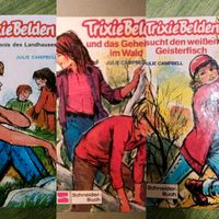 Trixie Belden Und Geheimnis im Wald Landhauses Geisterfisch BtBj Baden-Württemberg - Neudenau  Vorschau