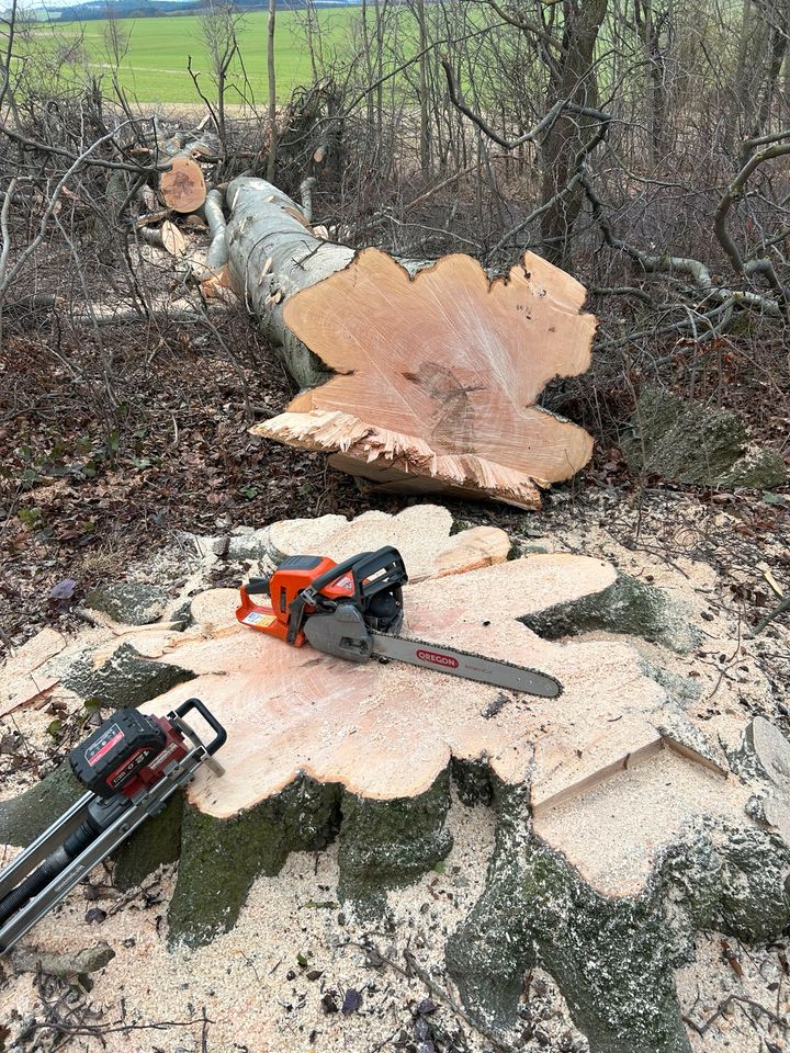 Baumschnitt, Grünschnitt, Landschaftspflege, Baumfällung in Blankenhain