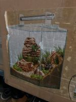 Sera scaper Cube neu 64l Aquarium Nordrhein-Westfalen - Hürth Vorschau