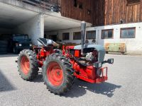 Kleintraktor Allrad Zapfwelle Hydraulik Bad Reichenhall - Marzoll Vorschau