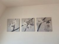 Bilder mit Orchideen, Kirschblüte,, Leinwand, Mandelblüte,Ikea, Kiel - Ravensberg-Brunswik-Düsternbrook Vorschau