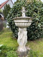 Gartenbrunnen mit toller Patina Baden-Württemberg - Waldenbuch Vorschau