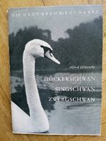 Brehm-Bücherei, A.Hilprecht,Höckerschwan, Singschwan, Zwergschwan Hamburg-Nord - Hamburg Fuhlsbüttel Vorschau