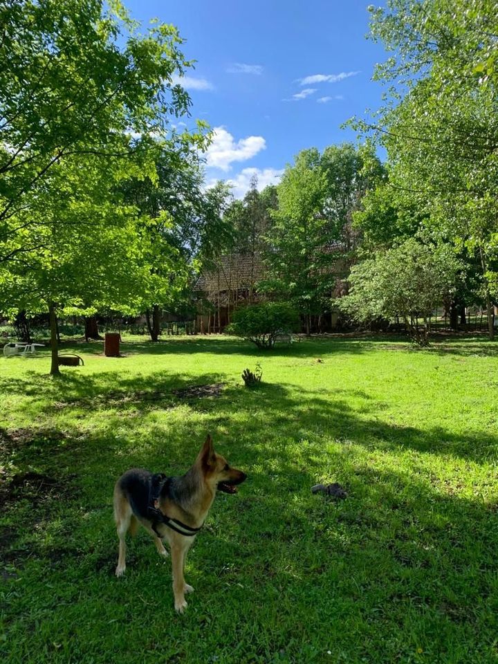 Garden Plot in Unterspreewald in Berlin