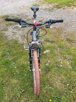 Junge Fahrrad 26 Baden-Württemberg - Meßkirch Vorschau