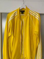 Adidas Pharrell Williams Trainer gelb & grün Baden-Württemberg - Grenzach-Wyhlen Vorschau