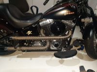 Auspuff Harley Davidson Nordrhein-Westfalen - Extertal Vorschau