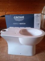 Grohe Bau Keramik Toilette 39429 Neuware Abgang senkrecht Baden-Württemberg - Schliengen Vorschau