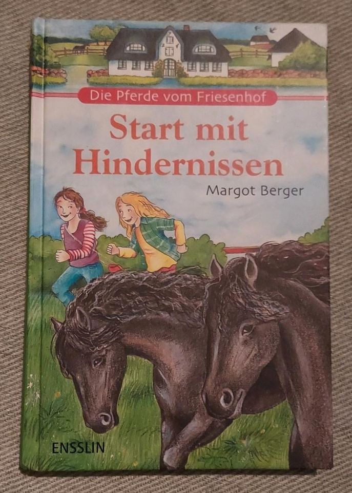 Teenager Bücher in Müschenbach
