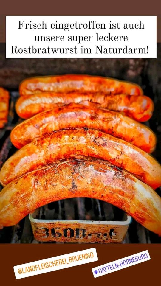 HORNEBURGER Wurstpaket / Rostbratwurst in Datteln