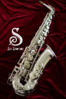 1959 81xxx Selmer Mark VI Silber Alt Saxophon 99% Berlin - Mitte Vorschau