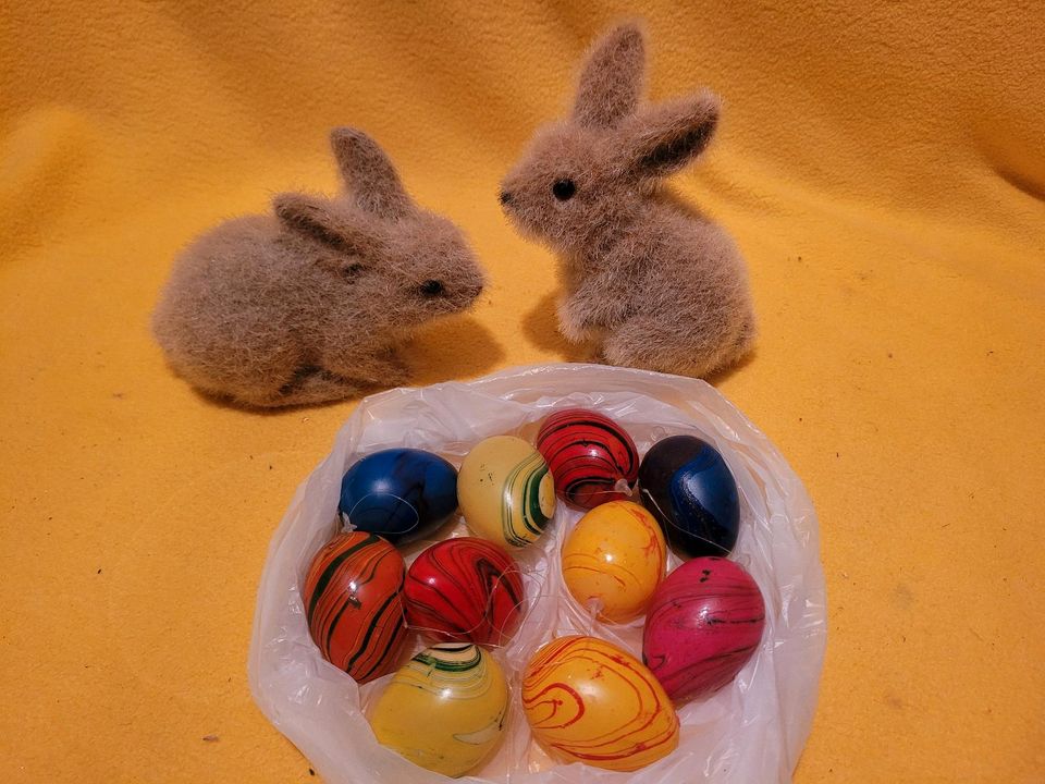 2 Hasen und 10 bunte Ostereier in Quakenbrück