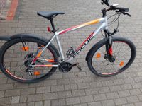 Fahrrad Mountainbikes Nordvorpommern - Landkreis - Süderholz Vorschau