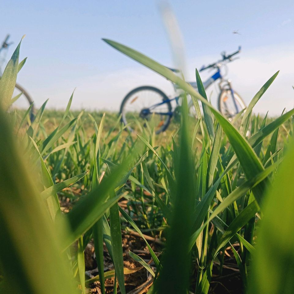 Fahrrad gesucht in Bad Sulza